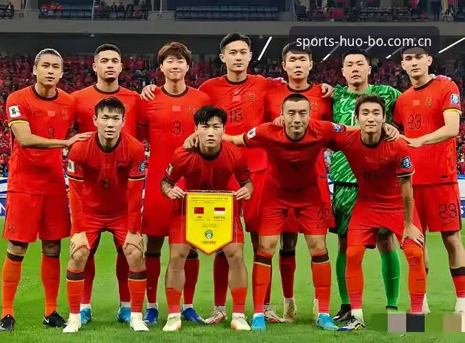 世界杯扩军66队实用分析：中国男足入场必备知识